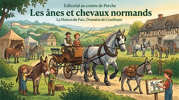 Les ânes et chevaux normands