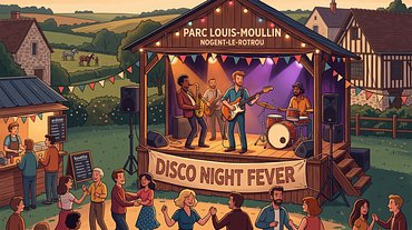 Disco Night Fever